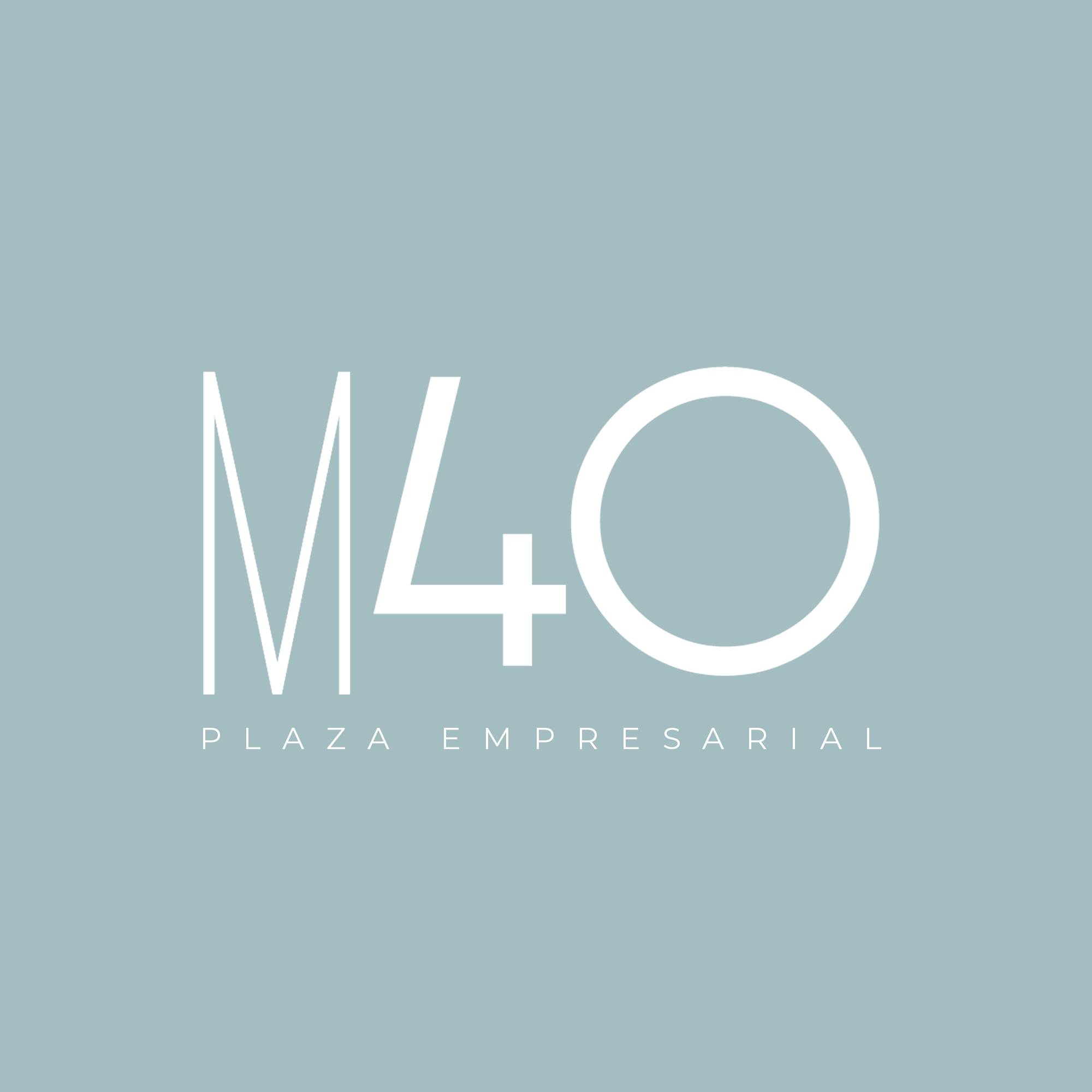 M40 Plaza Empresarial